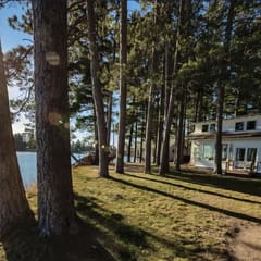 The Pines