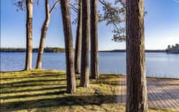 The Pines