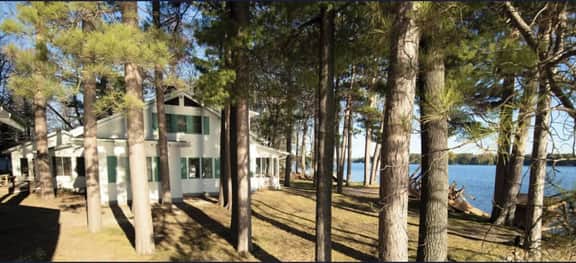 The Pines