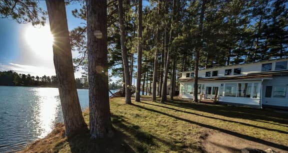 The Pines
